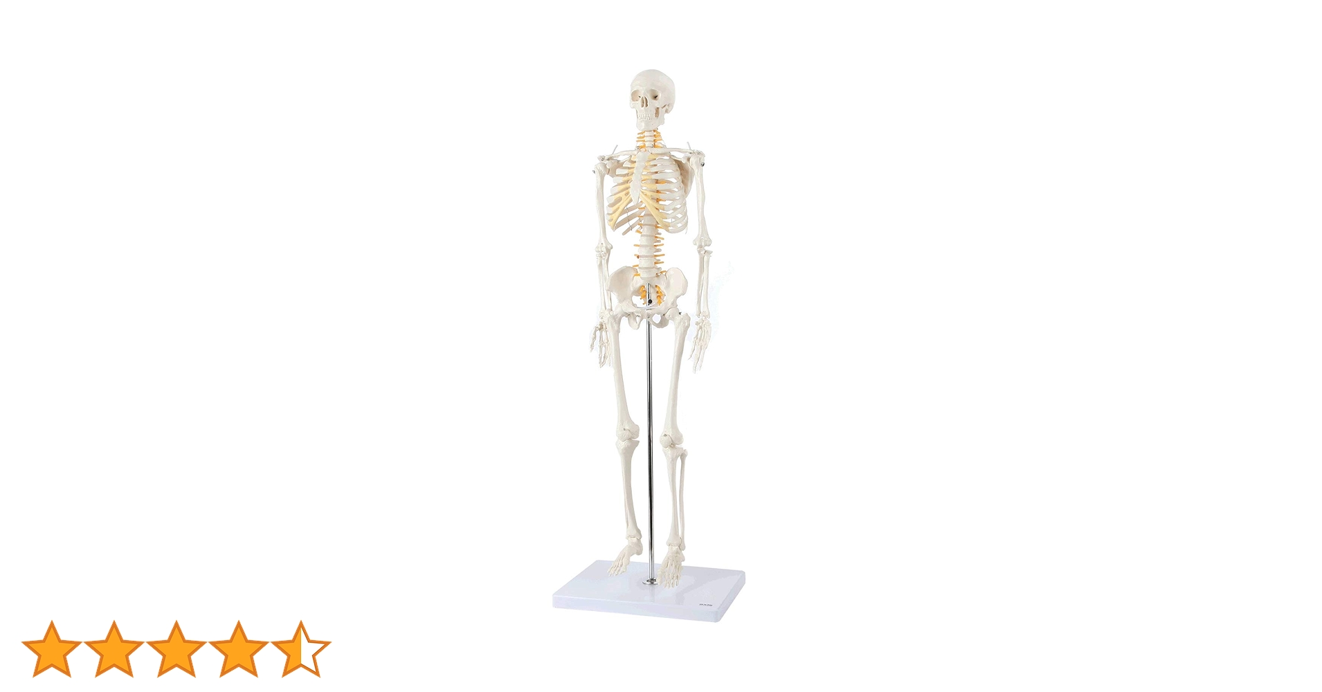 61Hh0+JoXEL.jpg_BO30,255,255,